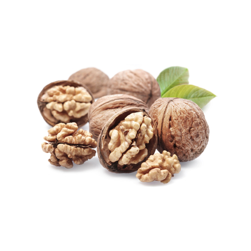 گردو طبیعی | تقویت مغز و حافظه | کلینیک ابو عطار گردو طبیعی | تقویت مغز و حافظه | کلینیک ابو عطار