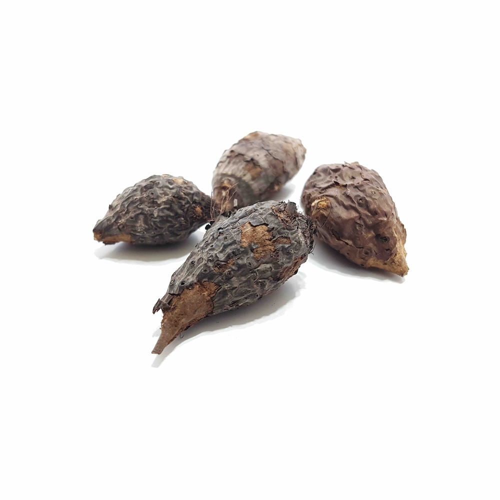 سعد کوفی طبیعی